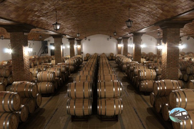 Winery - Pago de la Jaraba