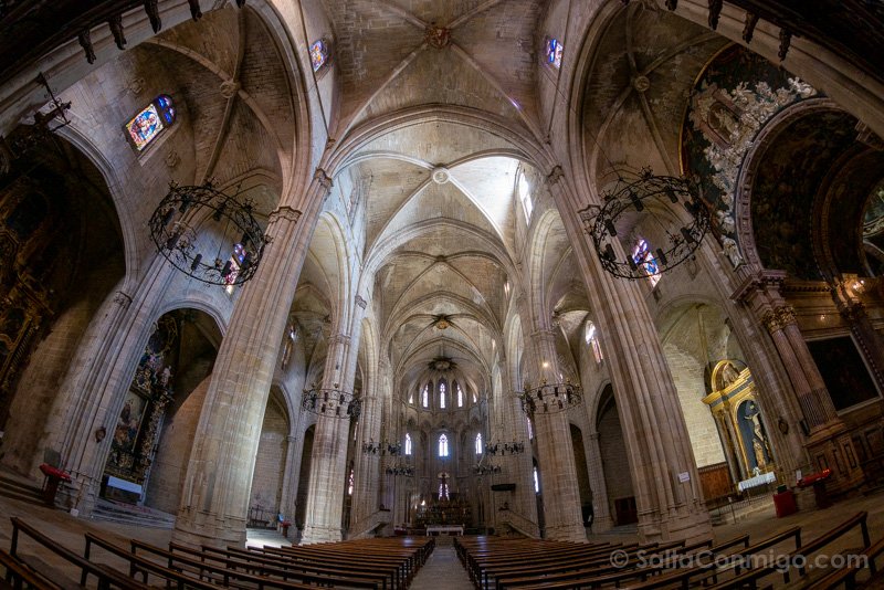 What to see in Tortosa Interior Cathedral Ojo Pez