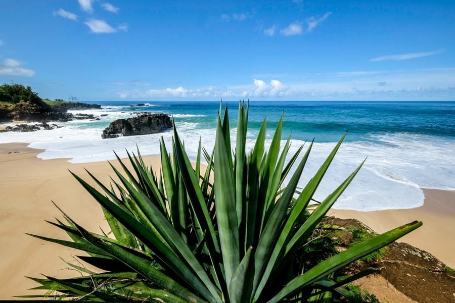 Playa de la bahía de Waimea