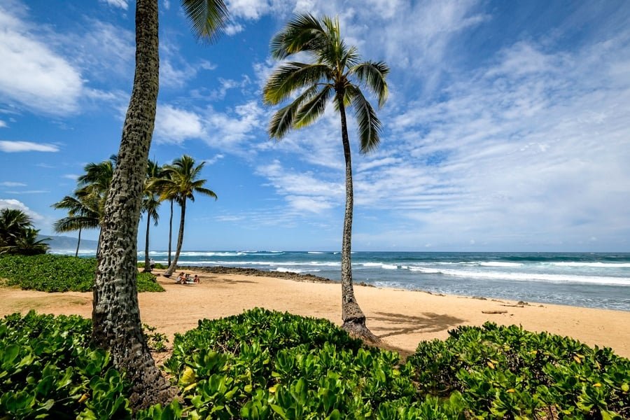 Las mejores playas de la costa norte de Oahu Hawaii Playa Haleiwa Alii