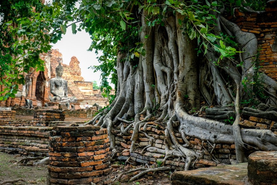 Ayutthaya Ruinas Templos Parque Histórico Bangkok Tailandia