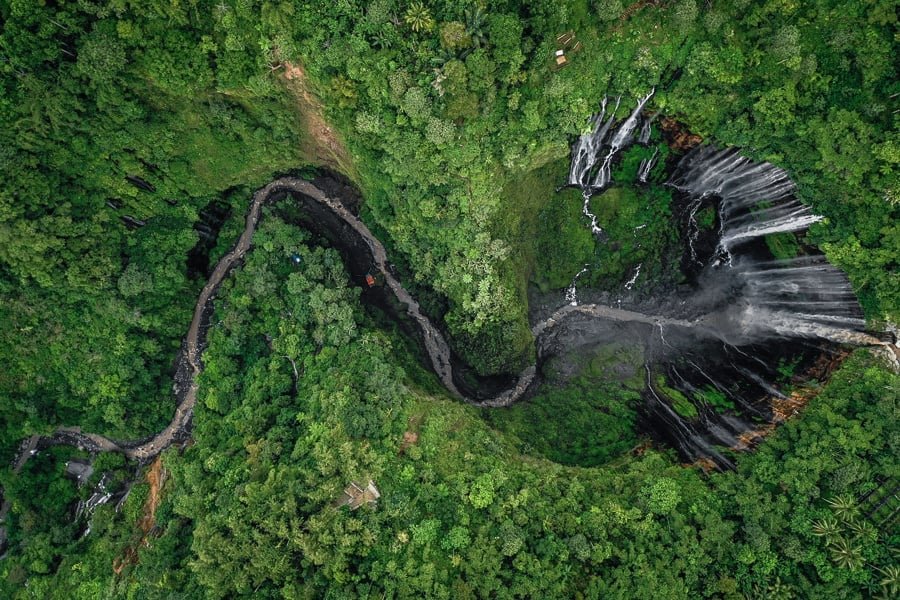 Tumpak Sewu desde arriba en forma del árbol de la vida