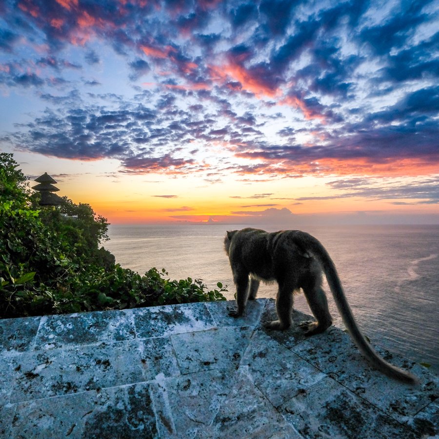 Atardecer en el templo de Uluwatu con mono de Bali