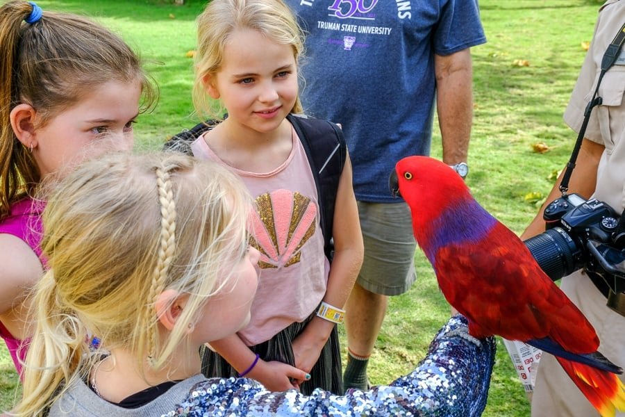 Niños pequeños sosteniendo un colorido loro rojo en el zoológico de Bali