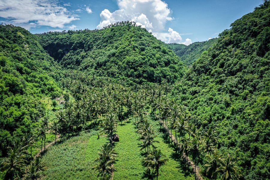 Fotografía de drones de palmeras y colinas en la playa de Atuh en Nusa Penida, Bali