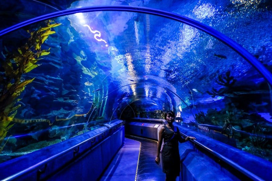 Acuario KLCC