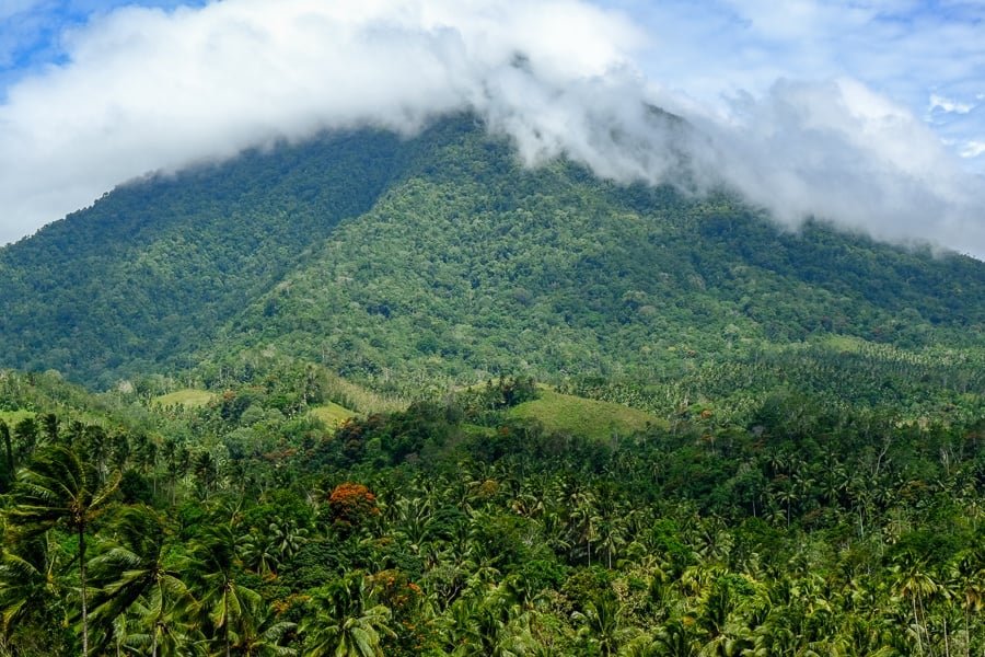 Montañas y selva en la Reserva Natural de Tangkoko en Sulawesi, Indonesia