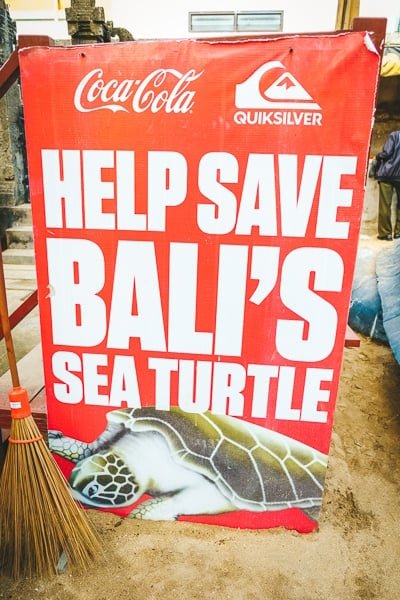 Cartel de BSTS en la liberación de tortugas marinas en Kuta, Bali.