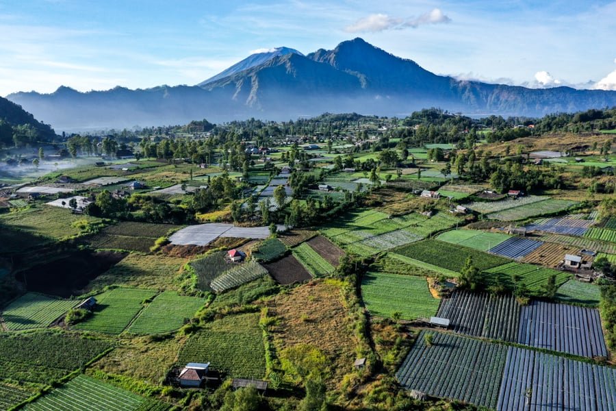 Kintamani Bali