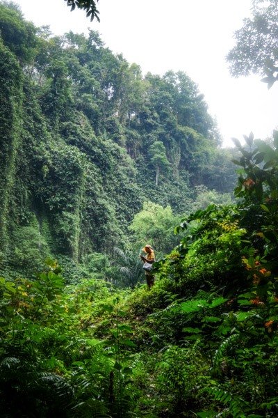 Cascada Santhipala Selva Bali