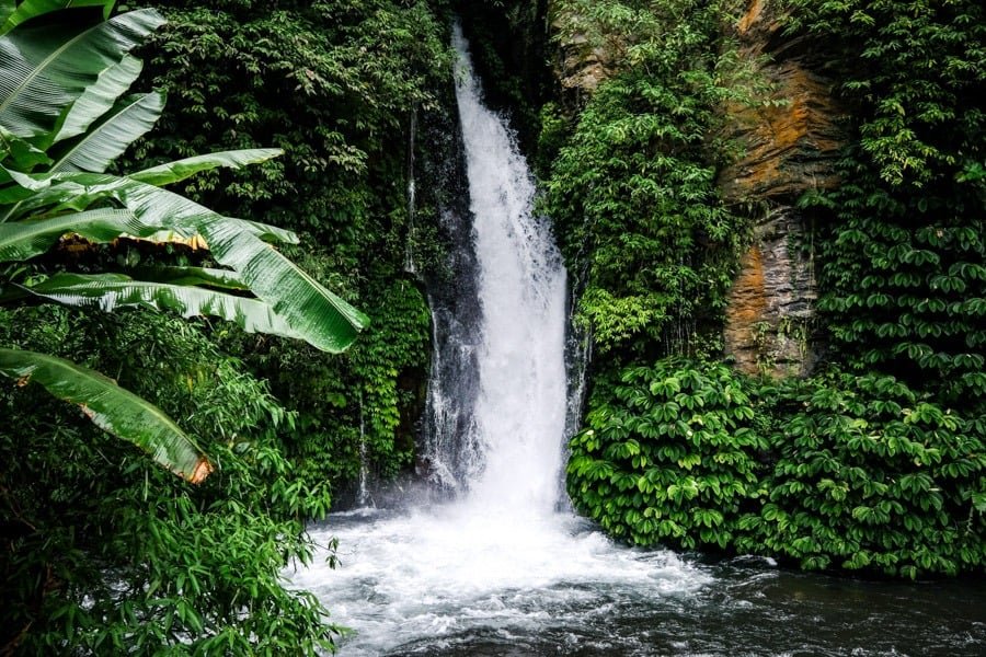 Cascada Umejero Bali