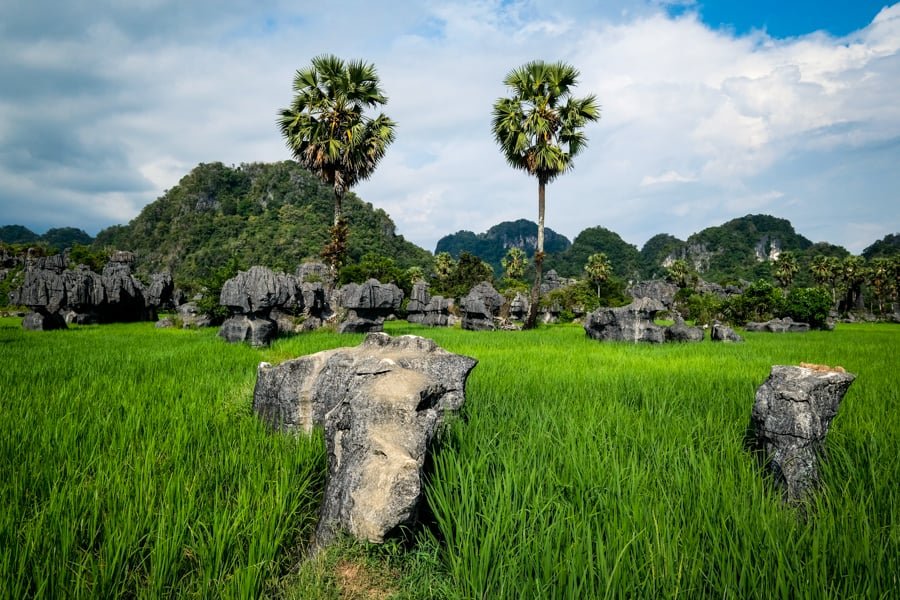 Jardín del bosque de piedra Rammang Rammang Maros