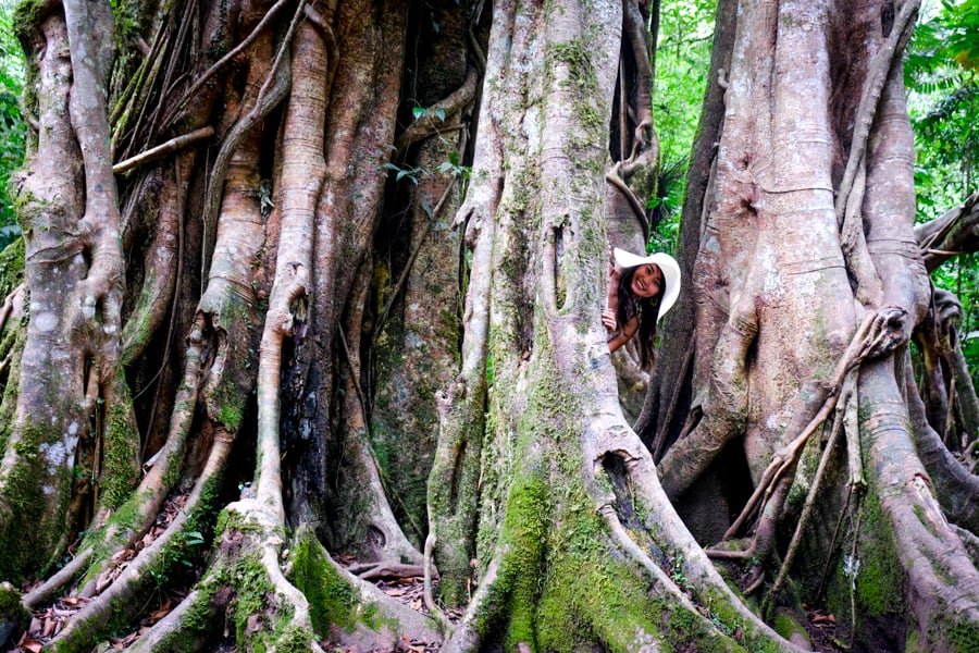 Jardín Botánico de Bali Bedugul