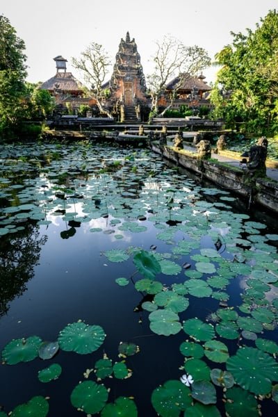 Estanque de lotos en el templo Pura Saraswati en Ubud Bali