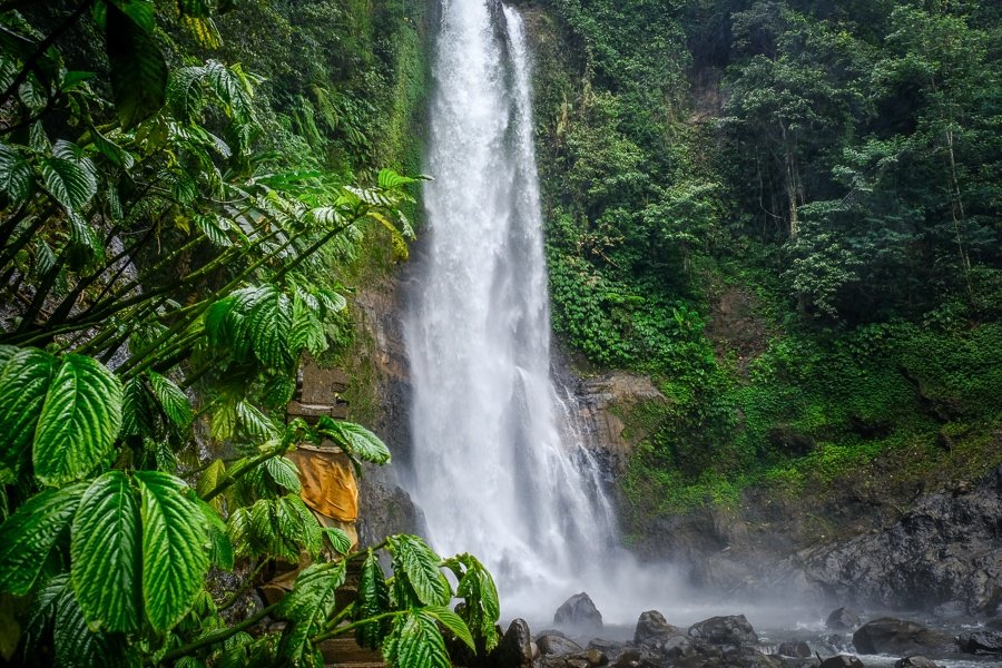 Selva de cascada GitGit en Bali