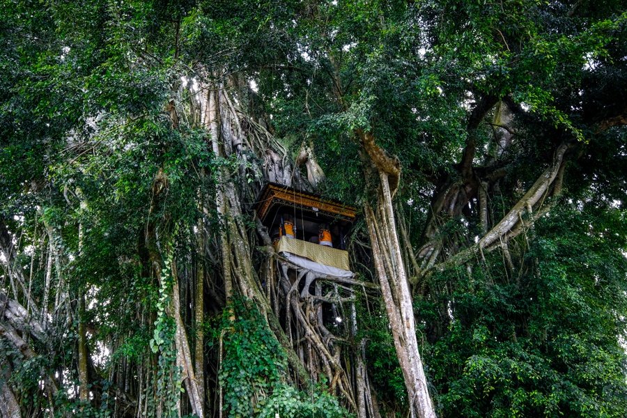 Casa del árbol de Banyan Pura Kehen