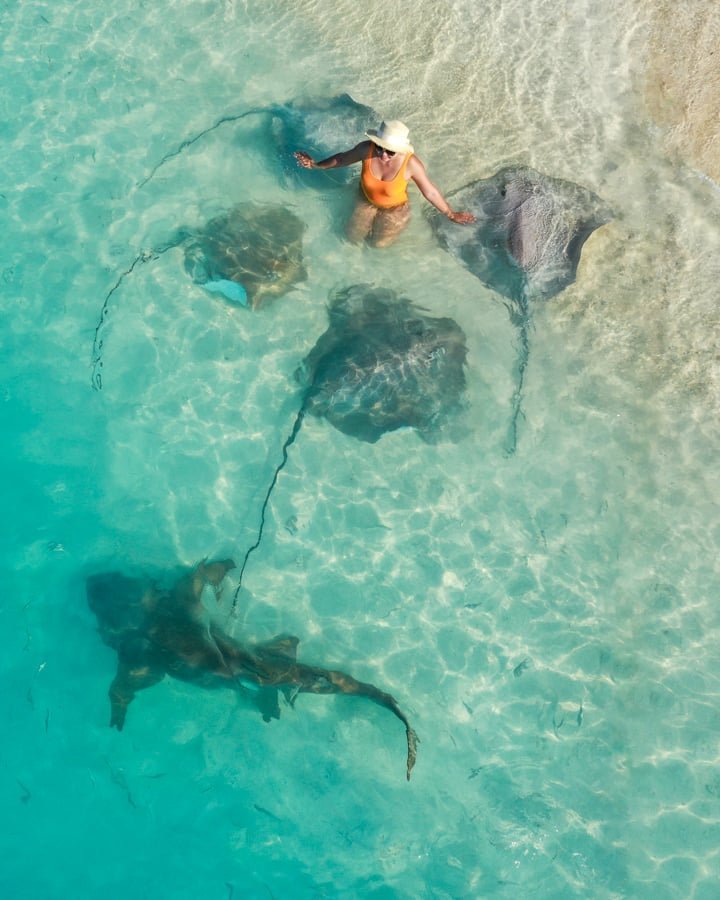 Mujer nadando con tiburones y rayas en la playa de Fulidhoo Maldivas