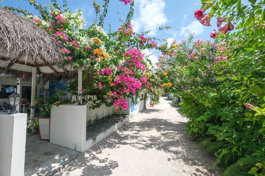 Calle arenosa con flores coloridas en la ciudad de Fulidhoo