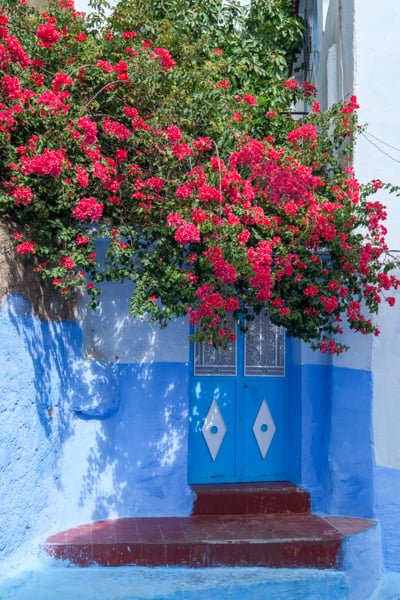 Excursión de un día a Chefchaouen Ciudad azul de Marruecos