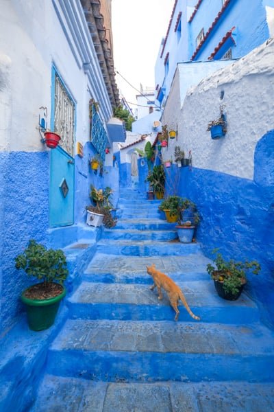 Excursión de un día a Chefchaouen Ciudad azul de Marruecos