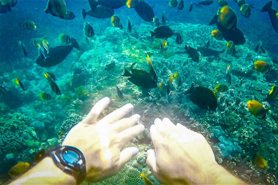 Snorkeling bajo el agua con peces en Nusa Penida, Bali
