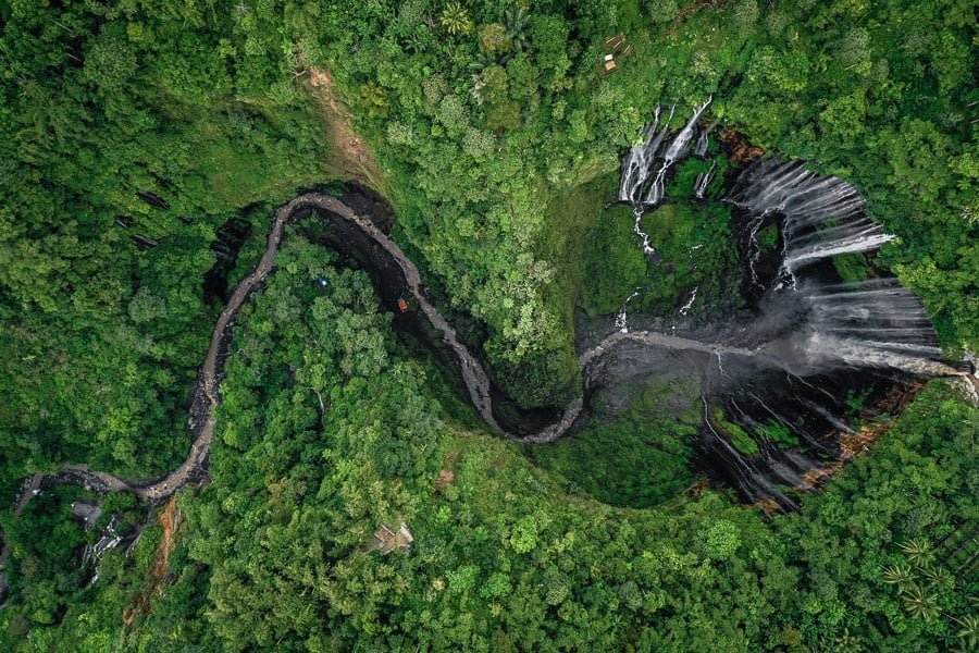 Tumpak Sewu desde arriba de la forma del árbol de la vida