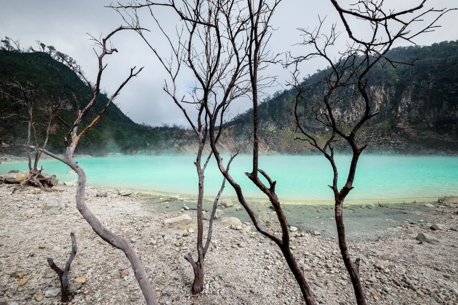 Lago de árboles muertos