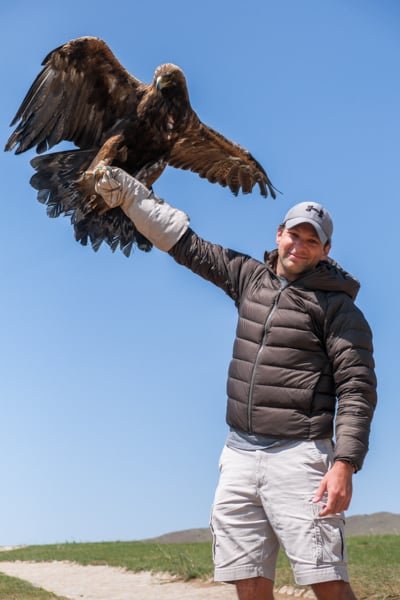 Viajero con un guante sosteniendo un águila estepa
