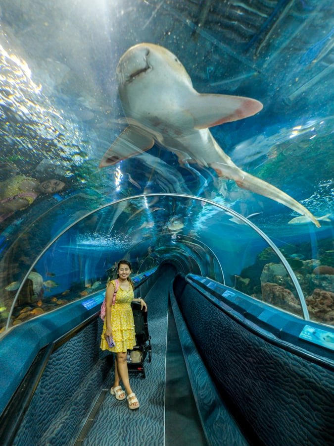 Túnel de tiburones en el Acuario de Shanghai en China