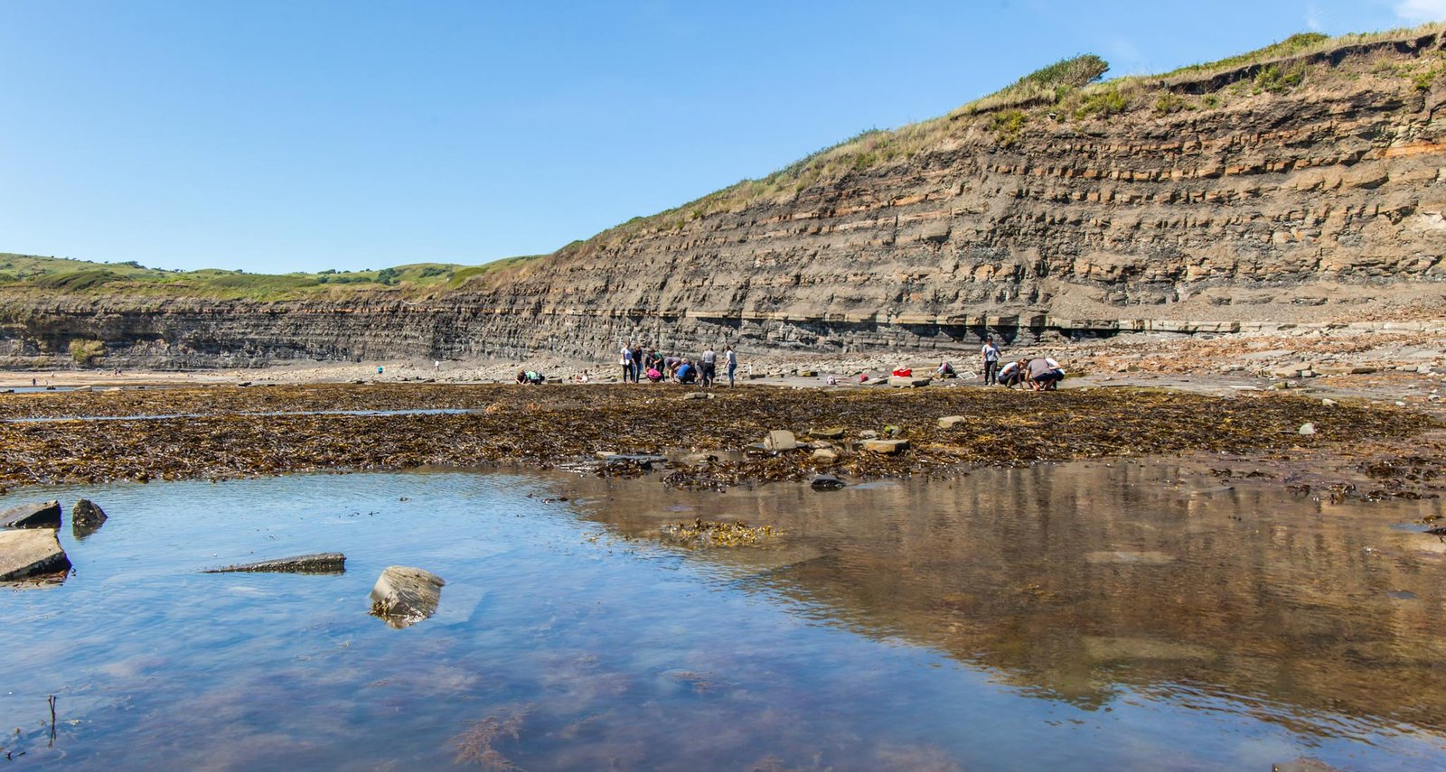 Bahía de Kimmeridge, Costa Jurásica