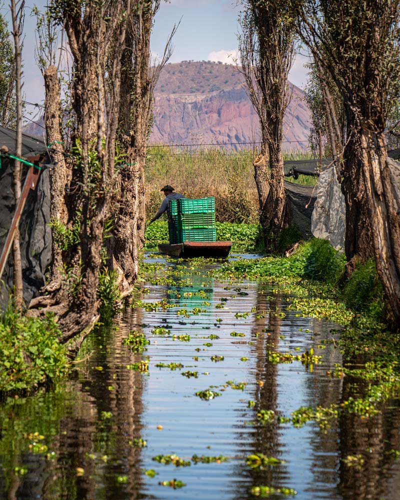 chinampas ciudad de méxico