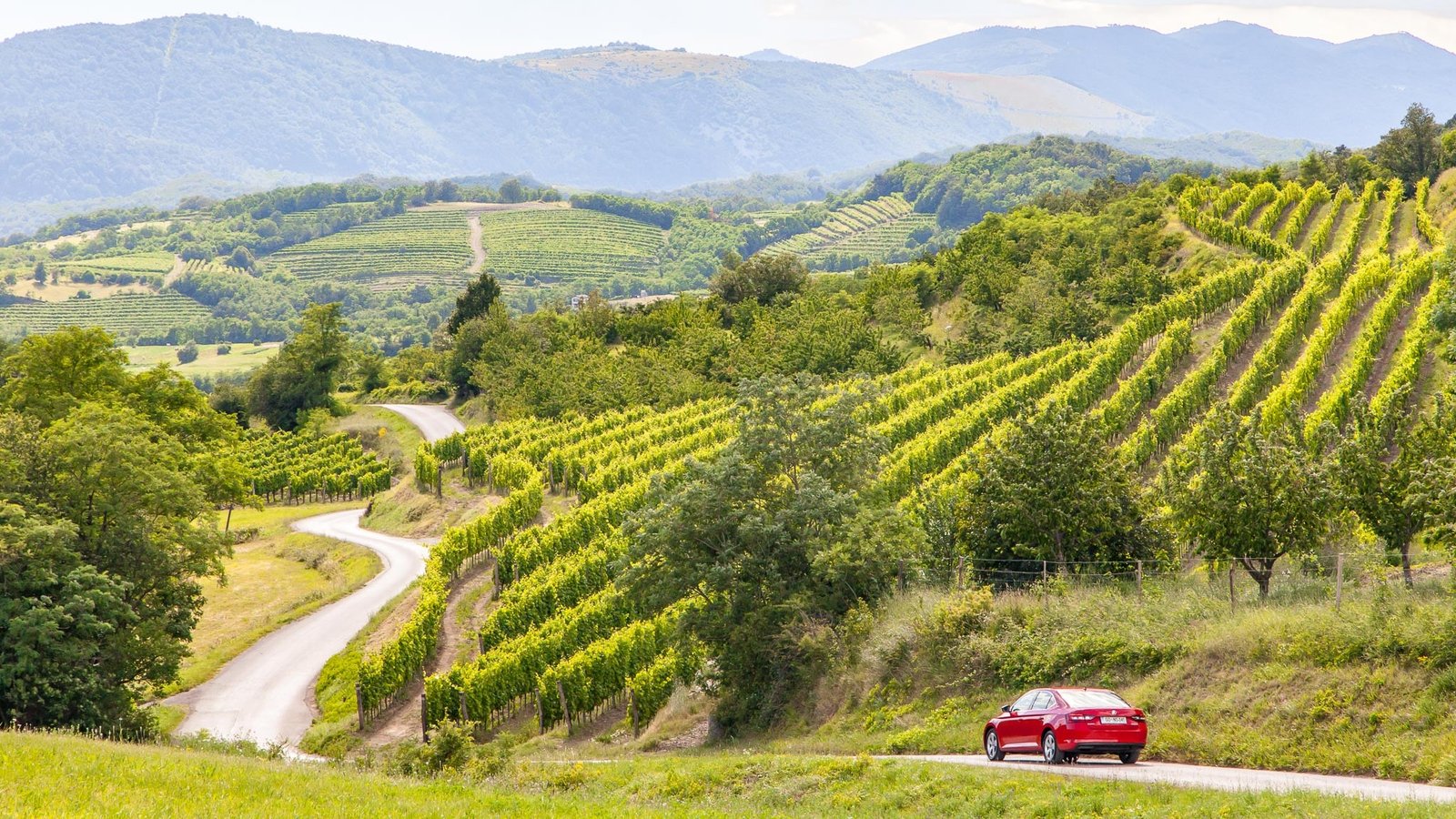 Valle de Vipava Eslovenia
