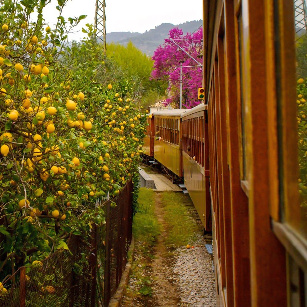Sóller Mallorca