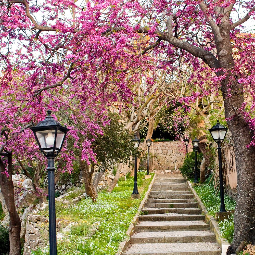 mallorca