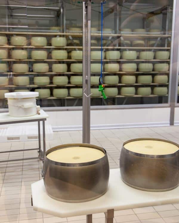 FICO Eataly Mundial
