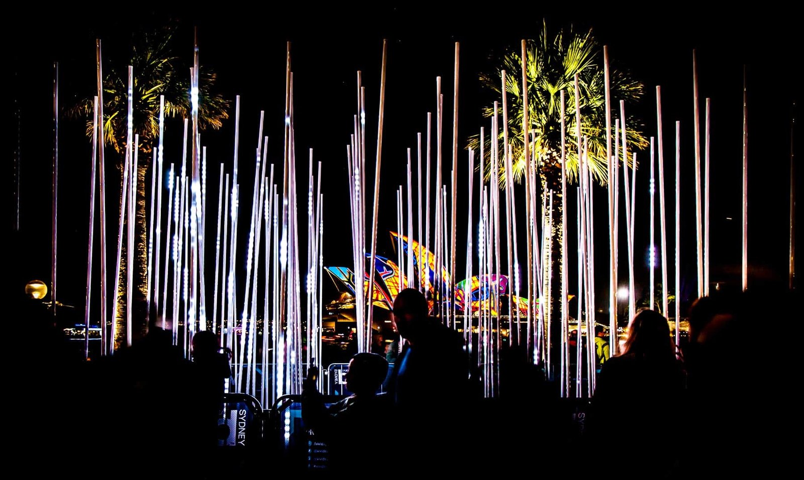 La viva Sydney ilumina la ciudad