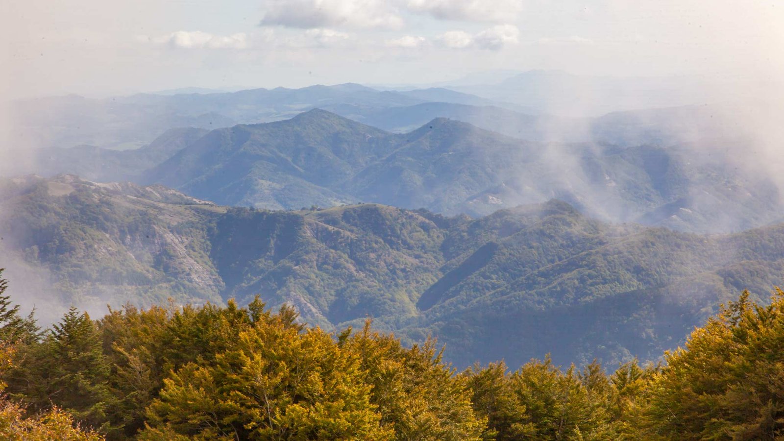 El Parque Nacional del Bosque de las Nubes en Emilia Romagna