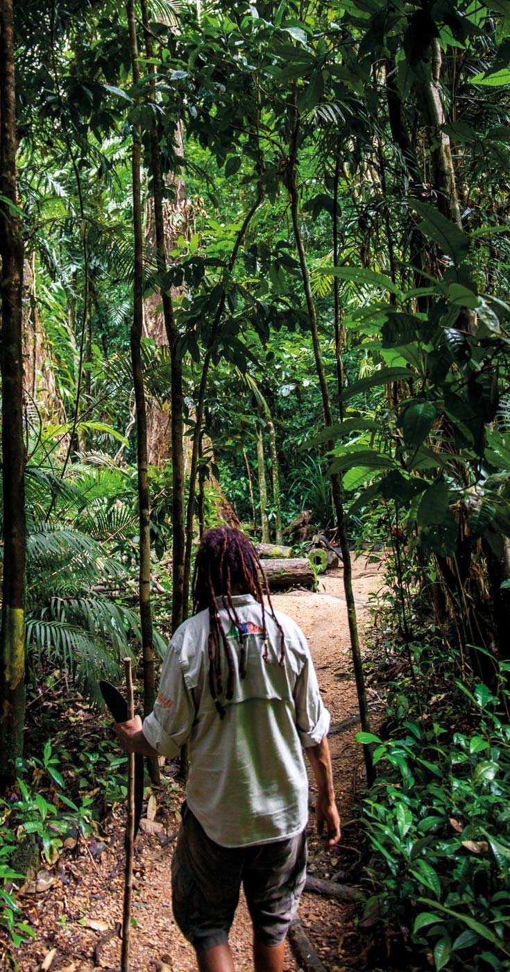 Tour de ensueño por la garganta de Mossman