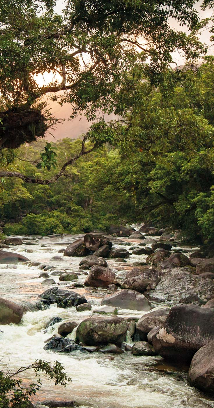 Atardecer en Garganta Mossman