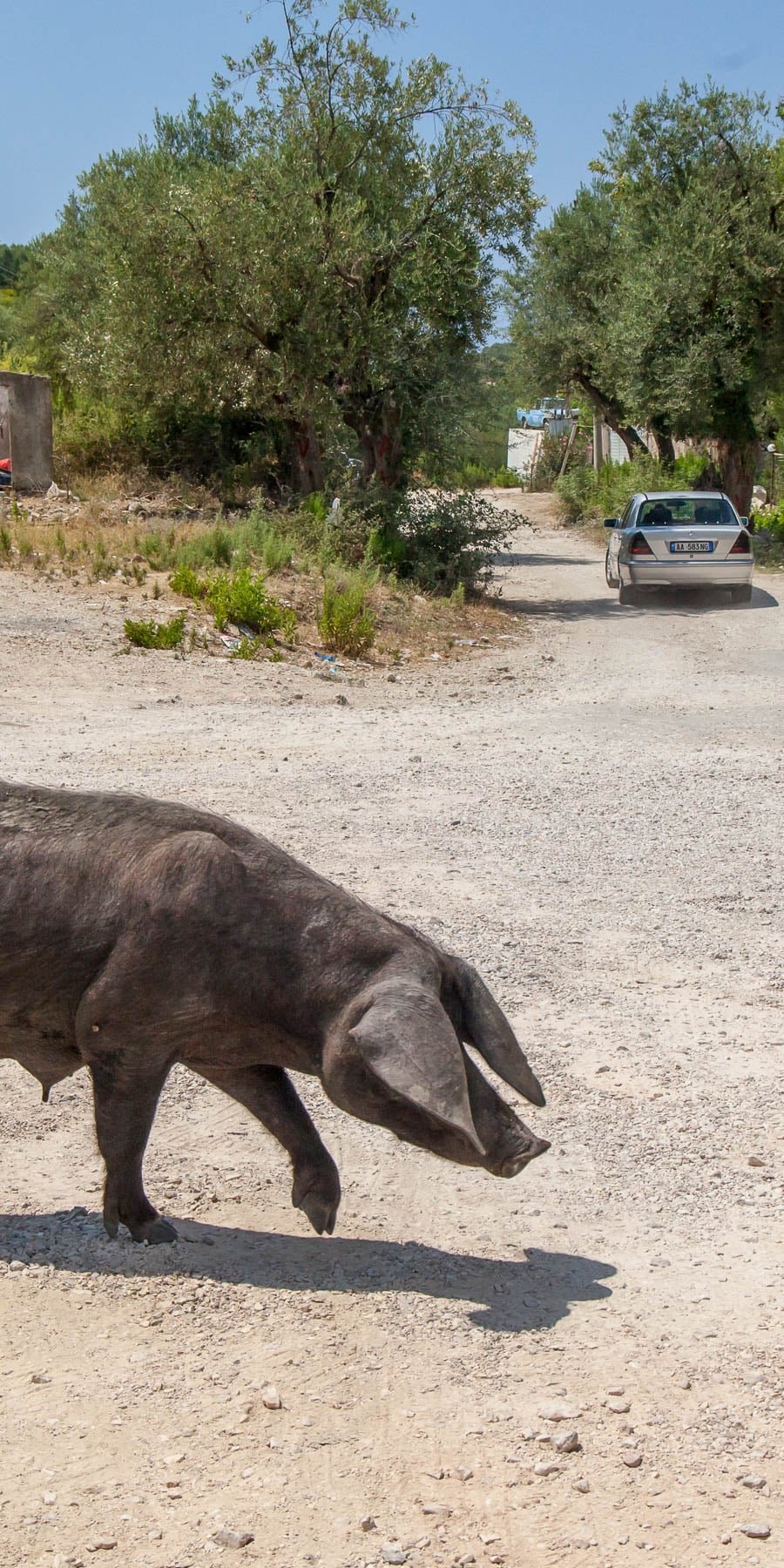 Fotos de Albania