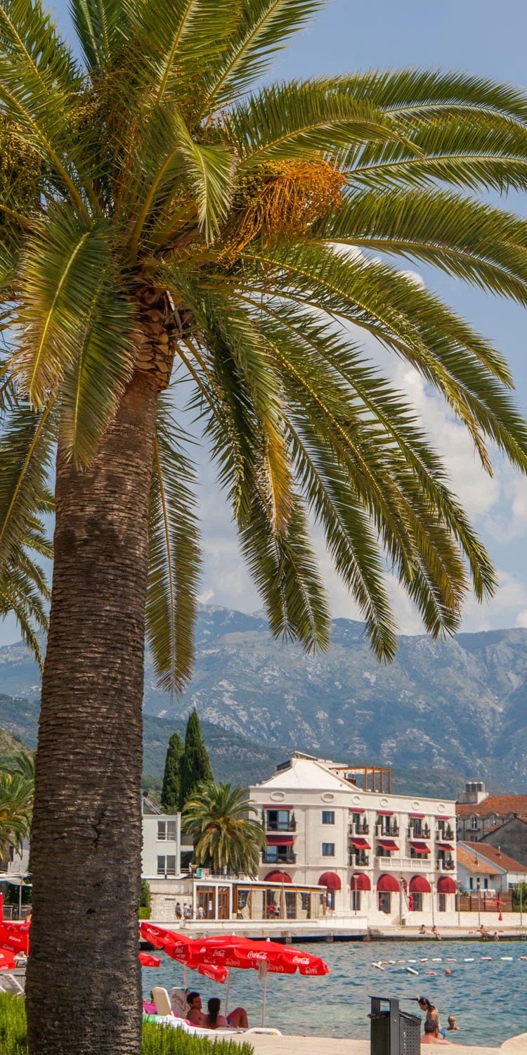 Viaje por carretera a Montenegro