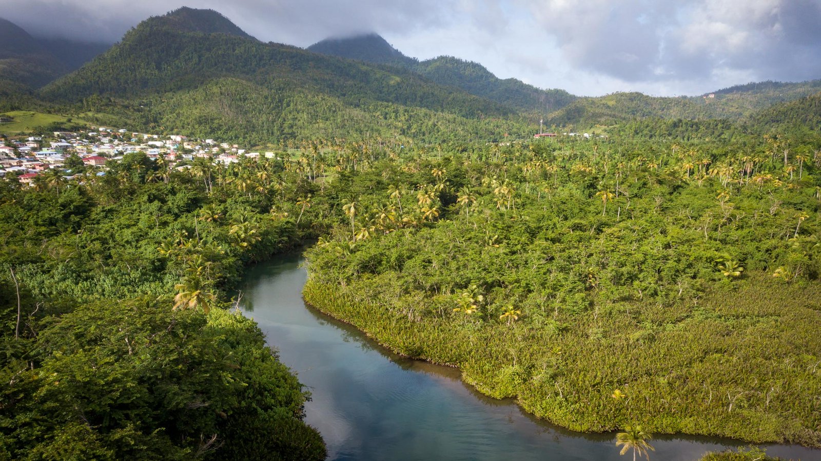 El río Indian visto desde arriba con las montañas de Dominica al fondo
